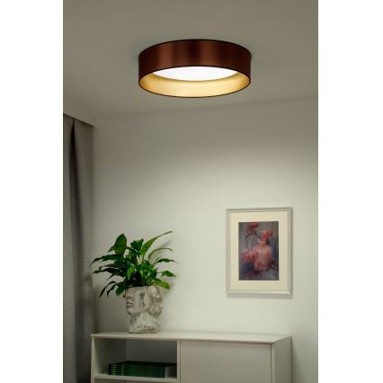Duolla - Светодиодный потолочный светильник ROLLER LED/24W/230V диаметр 45 см медный/золотистый