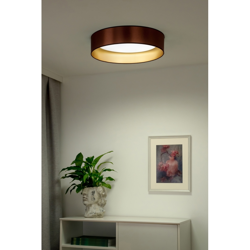 Duolla - Светодиодный потолочный светильник ROLLER LED/24W/230V диаметр 45 см медный/золотистый