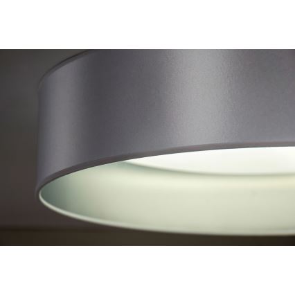 Duolla - Светодиодный потолочный светильник ROLLER LED/24W/230V диаметр 45 см серебристый