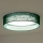 Duolla - Светодиодный потолочный светильник ROLLER LED/24W/230V диаметр 45 см зеленый