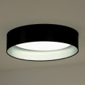 Duolla - Светодиодный потолочный светильник ROLLER LED/24W/230V черный/серебристый