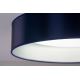 Duolla - Светодиодный потолочный светильник ROLLER LED/24W/230V синий/серебристый