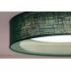 Duolla - Светодиодный потолочный светильник ROLLER LED/24W/230V зеленый