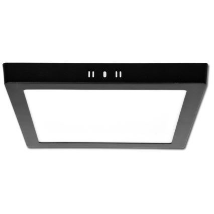 Светодиодный потолочный светильник RAFA LED/12W/230V 3000/4000/6000K 17x17 см черный