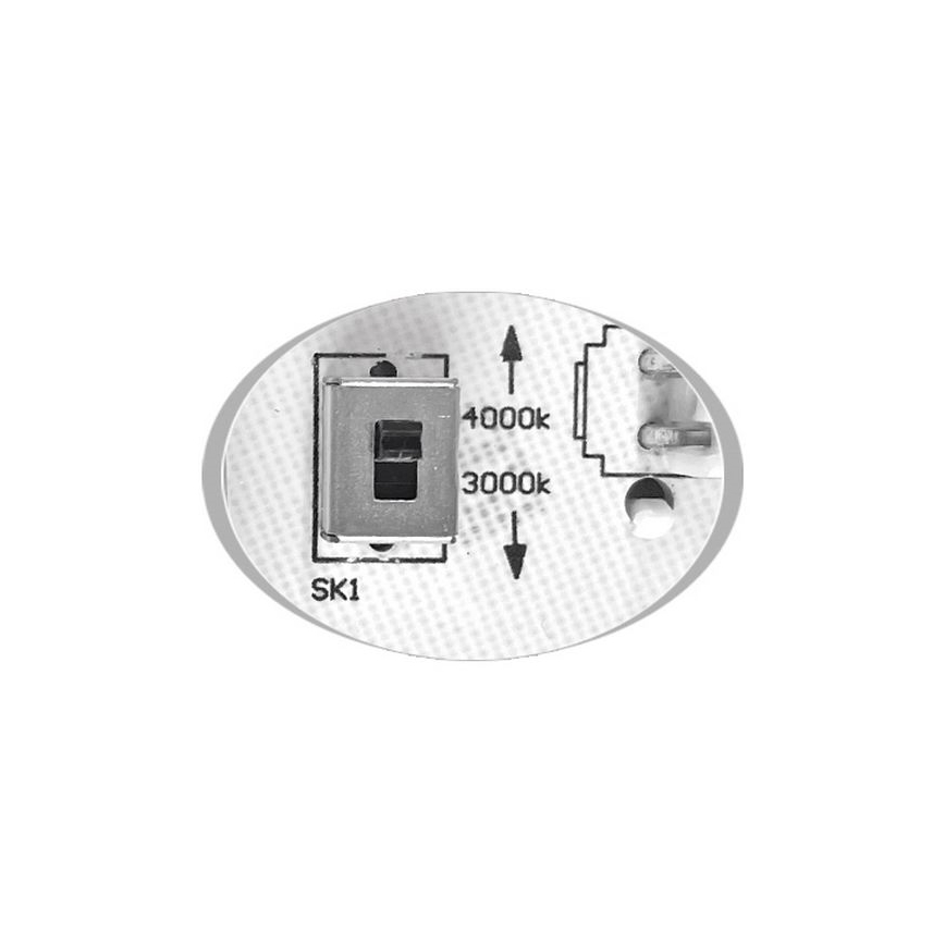 Светодиодный уличный потолочный светильник MARTIN LED/25W/230V 3000/4000K диаметр 35 см IP65 белый