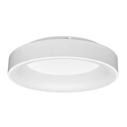 LED Стельовий світильник з регулюванням яскравості NEST LED/40W/230V 3000-6500K білий