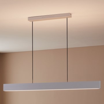 Eglo 31436 - Светодиодная подвесная RGBW-люстра с регулированием яркости ANDREAS-Z LED/38W/230V 2700-6500K белый