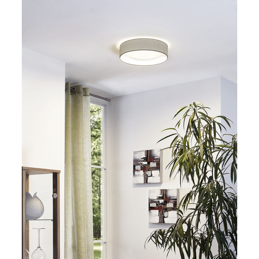 Eglo - Светодиодный потолочный светильник 1xLED/11W/230V