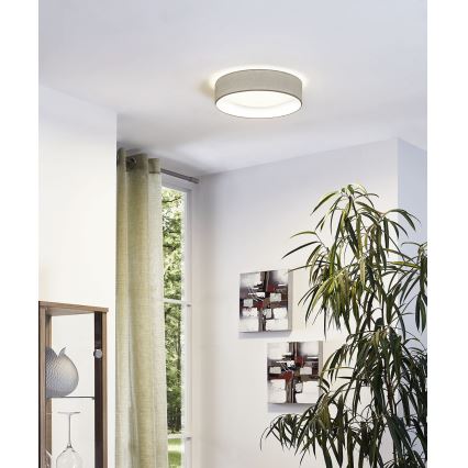 Eglo - Світлодіодний стельовий світильник 1xLED/11W/230V
