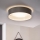 Eglo 31623 - LED потолочный светильник MASERLO LED/16W/230V 3000K Ø 40,5 см серый/серебристый