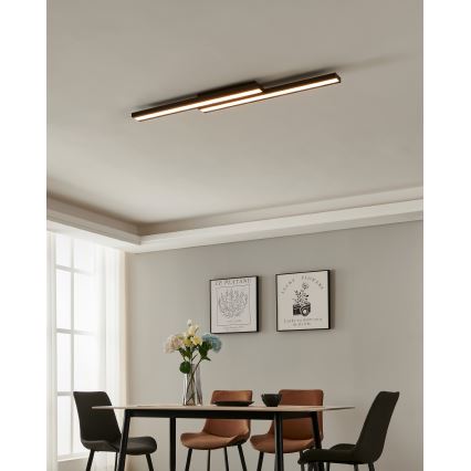 Eglo 31715 - Стельовий RGBW-світильник з регулюванням яскравості SALITERAS-Z LED/20,4W/230V 2700-6500K чорний