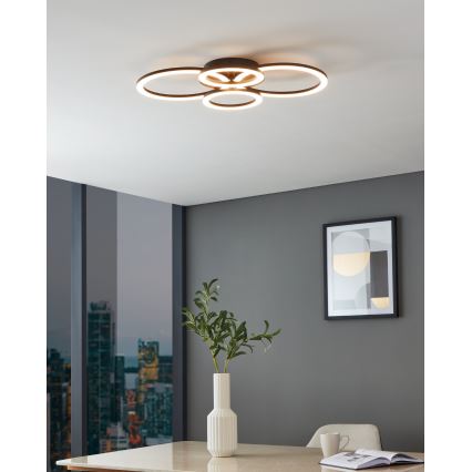 Eglo 31769 - Светодиодный потолочный светильник с регулированием яркости PARRAPOS-Z LED/41W/230V 3000-6500K черный