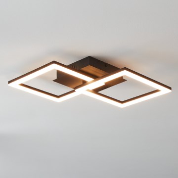Eglo 31774 - Светодиодный потолочный светильник с регулированием яркости PARANDAY-Z LED/21,5W/230V 3000-6500K черный