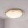 Eglo 32094 - Светодиодный потолочный светильник PLANET LED/11W/230V 3000K матовый хром