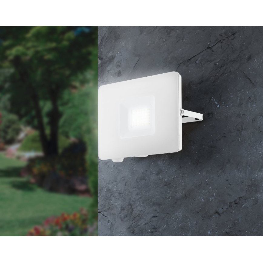 Eglo - Світлодіодний прожектор LED/30W/230V IP65