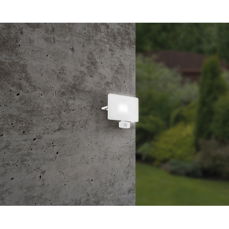 Eglo - Светодиодный прожектор с датчиком LED/50W/230V IP44