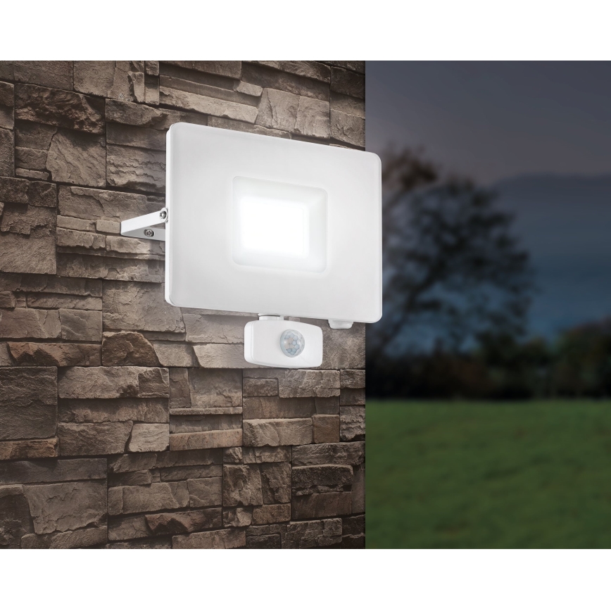 Eglo - Світлодіодний прожектор з датчиком LED/50W/230V IP44