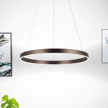 Eglo 33483 - LED-люстра на тросі ALCAZABA 2xLED/18W/230V 3000K діаметр 55 см бронзова