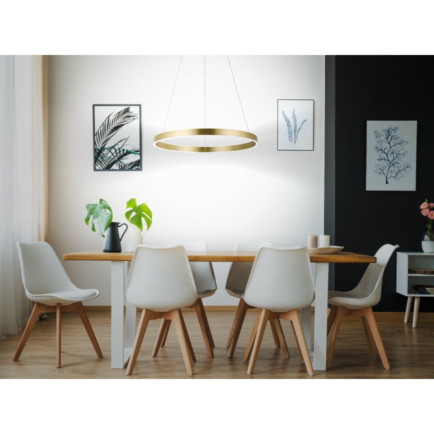 Eglo 33484 - LED-люстра на тросе ALCAZABA 2×LED, 18 Вт, 230 В, 3000 К, диаметр 55 см, золотая