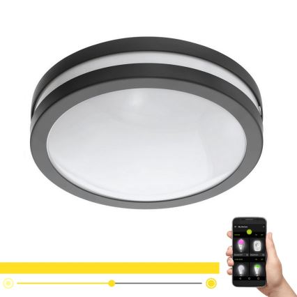 Eglo 33571 - Светильник для ванной комнаты с LED-диодами и диммером LOCANA-C LED/14W/230V IP44 черный