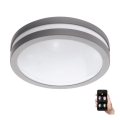 Eglo 33572 - LED світильник для ванної з регулюванням яскравості LOCANA-C LED/14W/230V IP44 срібний