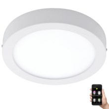 Eglo 33575 - LED світильник для ванної з регулюванням яскравості ARGOLIS-C LED/16,5W/230V IP44 білий