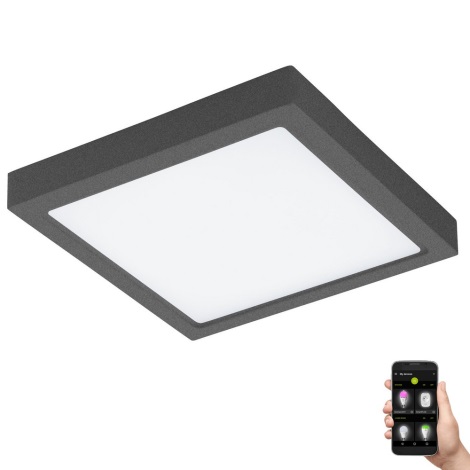Eglo 33578 - Светодиодный светильник для ванной комнаты с регулированием яркости ARGOLIS-C LED/22W/230V IP44 антрацит