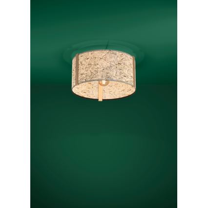 Eglo - Потолочный светильник 1xE27/25W/230V бежевый