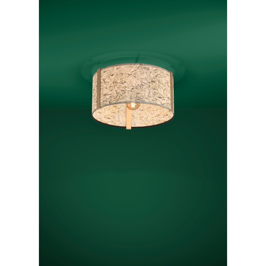 Eglo - Потолочный светильник 1xE27/25W/230V бежевый