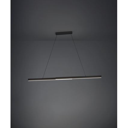 Eglo - Світлодіодна регульована люстра на тросі LED/20W/230V 3000K чорна