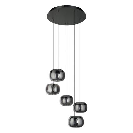 Eglo - LED люстра на тросі з можливістю затемнення 5xLED/5,8W/230V чорна/димчаста