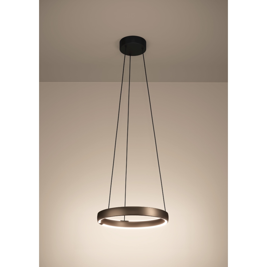 Eglo - диммируемая LED-люстра на тросе с датчиком движения, 2×LED/25 Вт/230 В, 2200–6500 К, диаметр 80 см, коричневая