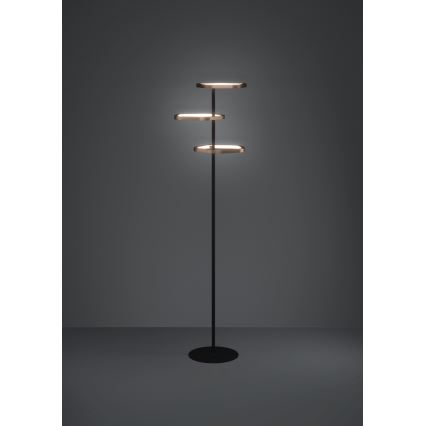 Eglo - Підлогова світлодіодна лампа з регулюванням яскравості LED/20W/230V 2200-6500K латунь