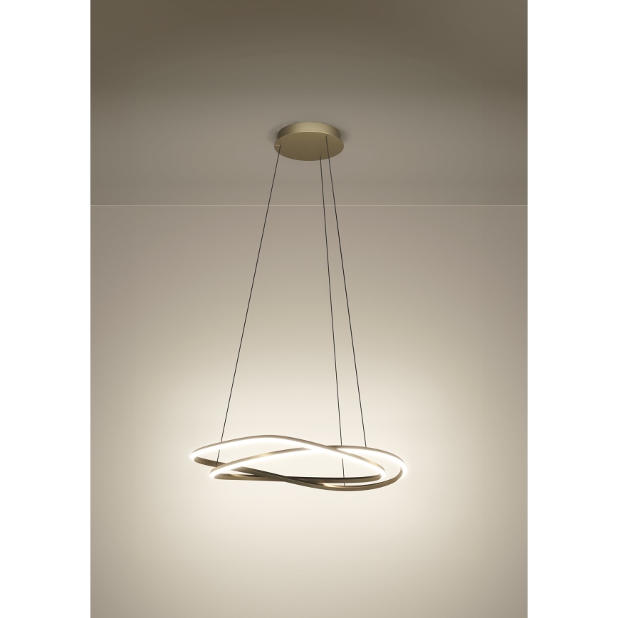 Eglo - LED-люстра з регульованою яскравістю на тросі LED/60W/230V 2200-6500K золота + пульт дистанційного керування