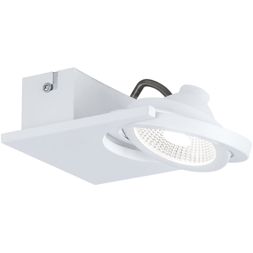 Eglo - Світлодіодний прожектор 1xLED/5W/230V/12V
