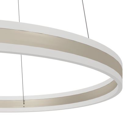 Eglo - Світлодіодна підвісна люстра з регульованою яскравістю LED/78W/230V