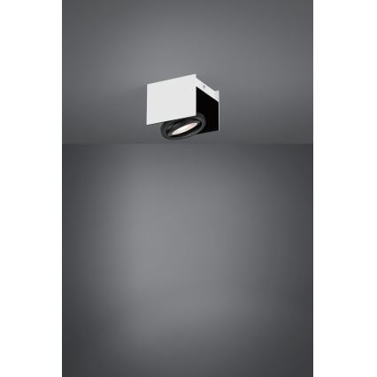 Eglo - Светодиодный точечный светильник с регулированием яркости LED/5,4W/230V