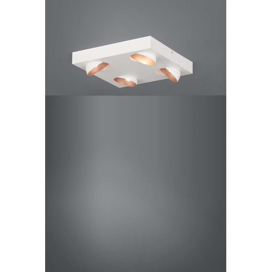 Eglo - Світлодіодний стельовий світильник з регульованою яскравістю 4xLED/3,3W/230V