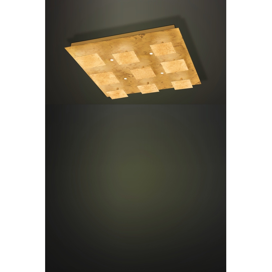 Eglo - LED Світильник з регулятором яскравості 4xLED/5,4W/230V + 9xLED/4,5W