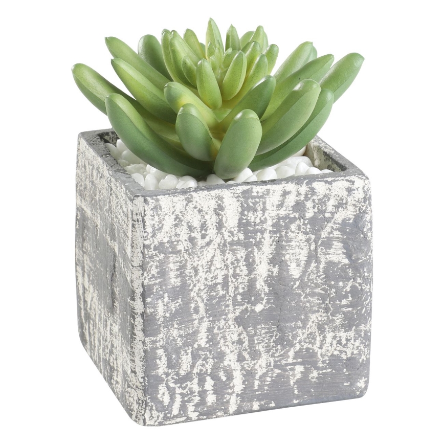 Eglo - Искусственное растение в горшке 12x7,5 см суккулент