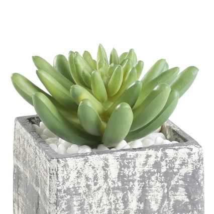 Eglo - Искусственное растение в горшке 12x7,5 см суккулент