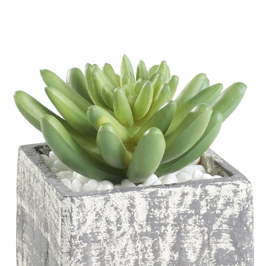 Eglo - Искусственное растение в горшке 12x7,5 см суккулент