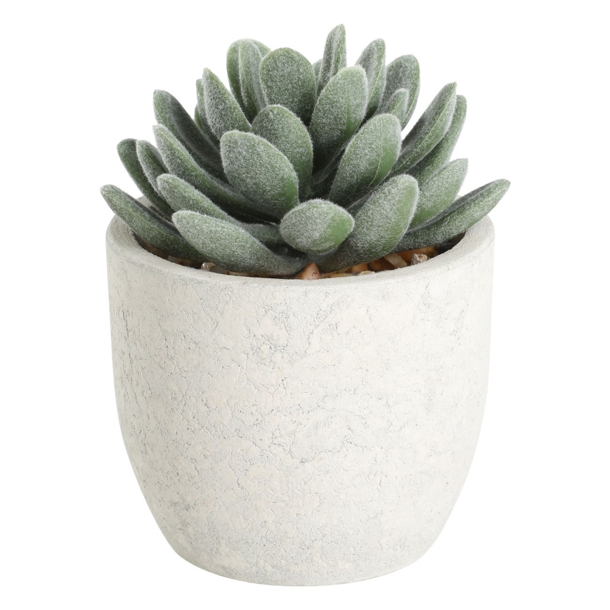 Eglo - Штучна рослина в горщику 11x8 см сукулент