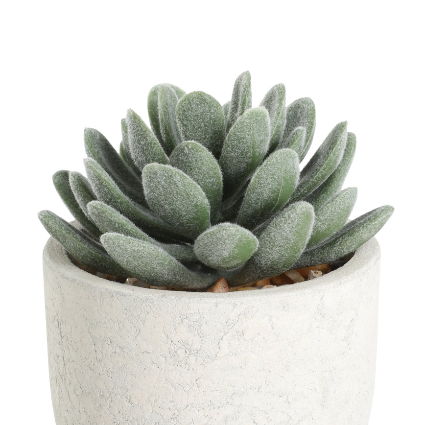 Eglo - Штучна рослина в горщику 11x8 см сукулент
