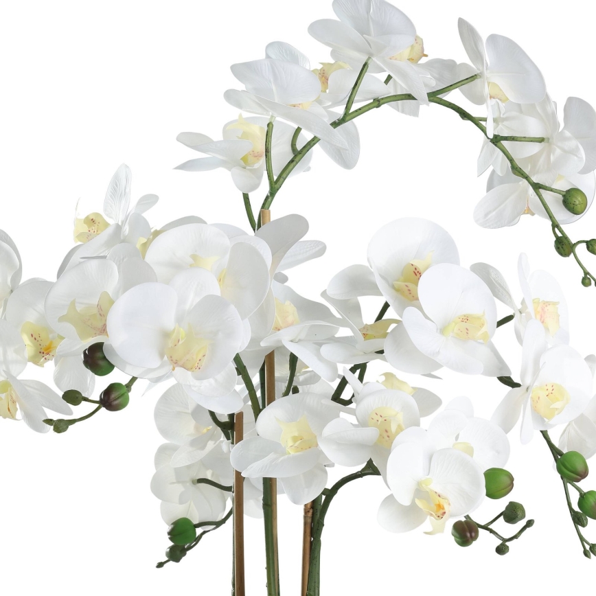 Eglo - Штучна рослина в горщику 65x50 см орхідея
