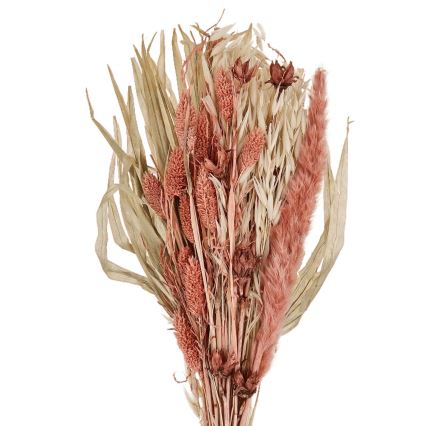 Eglo - Засушена квітка 60 см помаранчевий