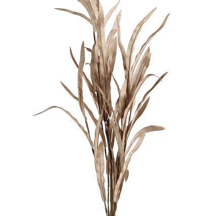 Eglo - Штучна квітка 82 см коричневий