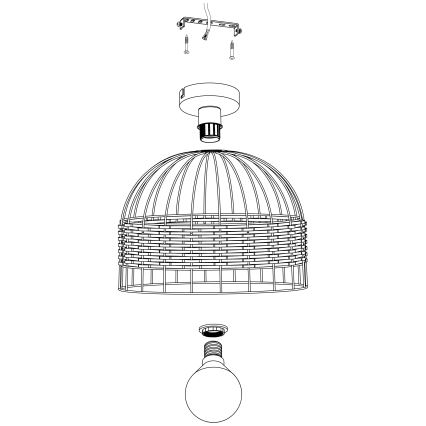 Eglo - Потолочный светильник 1xE27/60W/230V
