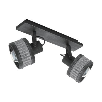 Eglo 43445 - Точечный светильник TURROCK 2xE27/28W/230V