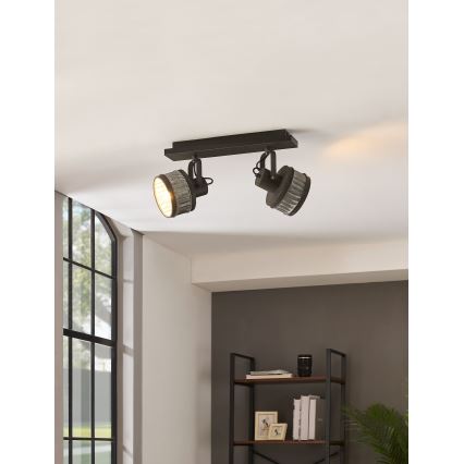 Eglo 43445 - Точечный светильник TURROCK 2xE27/28W/230V